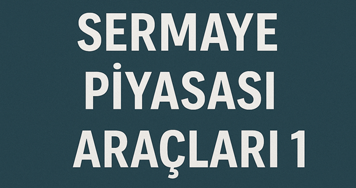 sermaye-piyasasi-araclari-min-min.png